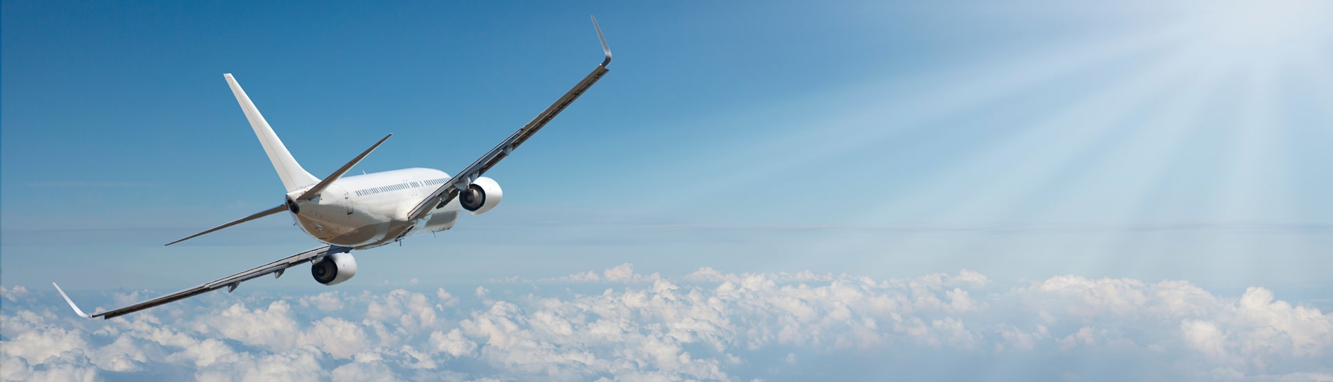 Rejseforespørgseler